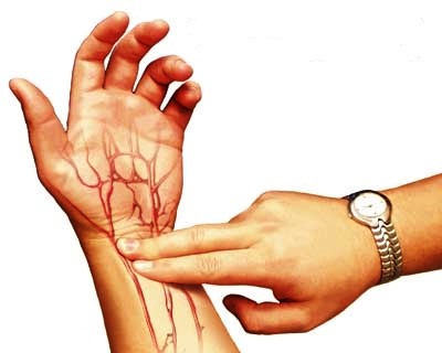 Є старий і перевірений спосіб: палець на зап'ясті або на шиї, де проходить велика артерія.